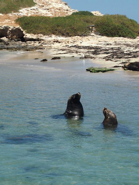 Anchorage Guest House And Self-contained Accommodation - Accommodation Resorts 3