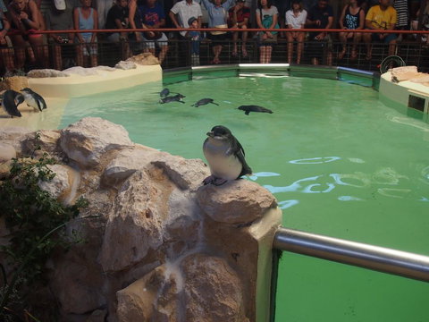 Anchorage Guest House And Self-contained Accommodation - Accommodation Resorts 2