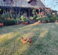 Angaston by the Winter Creek - Accommodation Resorts