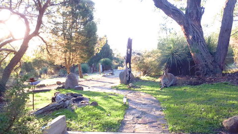 Aquila Eco Lodges - Accommodation Resorts 3