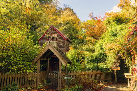 Arnica Views Summit Retreat - Accommodation Resorts 1