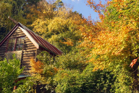 Arnica Views Summit Retreat - Accommodation Resorts 2