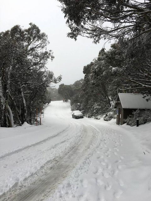 MAGNIFICENT SKIING ON MOUNT BULLER - Accommodation Resorts 3