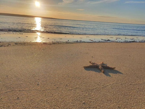 Matildas Of Kangaroo Island - Accommodation Resorts 1