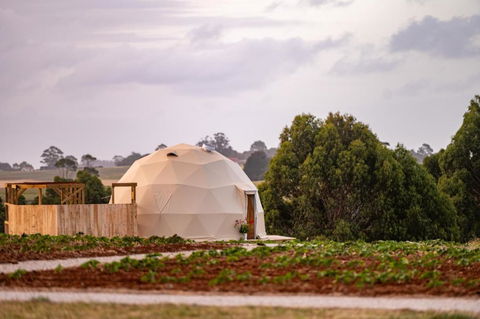 Mount Gnomon Farm - Accommodation Resorts 0