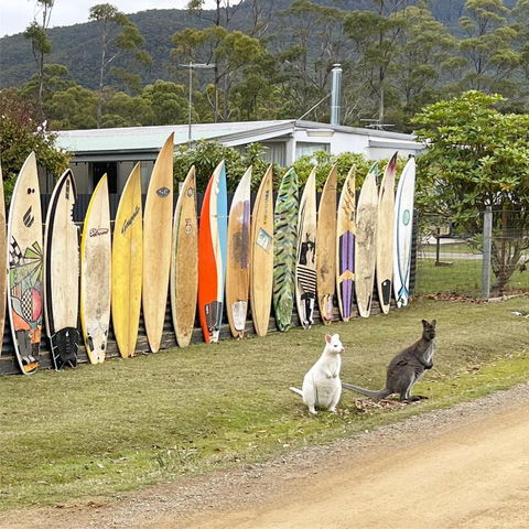 NOFOMO AT ADVENTURE BAY - Accommodation Resorts 0