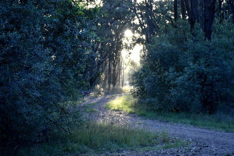 On Bell Glamping - Accommodation Resorts 3