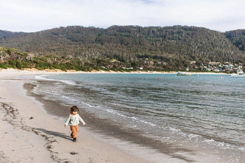 Pirates Retreat By Tiny Away - Accommodation Resorts 3