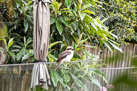 Quaint Queen Room - Central Location At Pymble - Shared Bathroom - Accommodation Resorts 1
