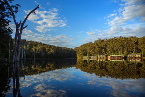 RAC Karri Valley Resort - Accommodation Resorts 3
