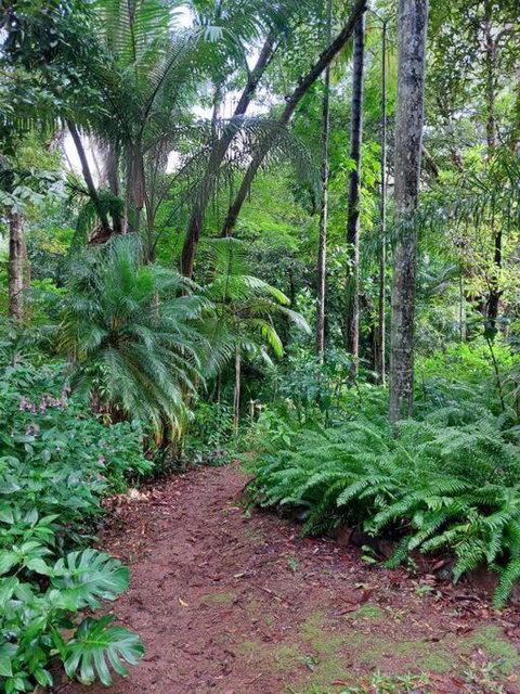 Rainforest Retreat-Fireplace-BBQ-3 Acres- - Accommodation Resorts 0