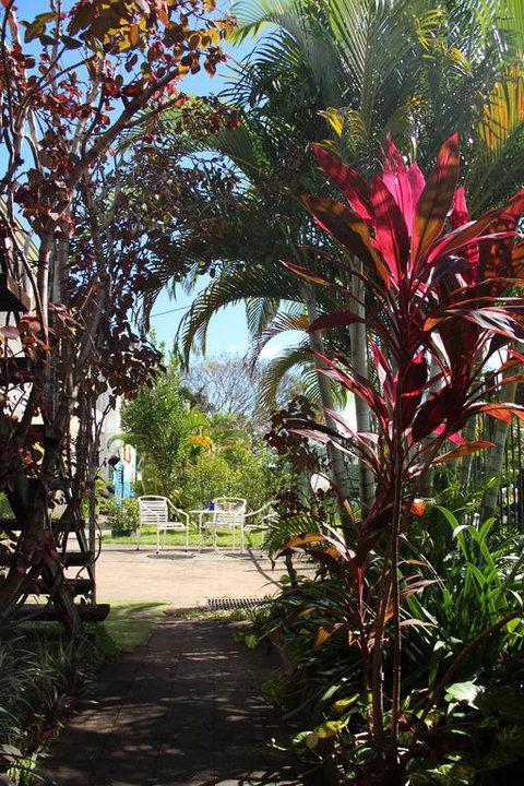 Asylum Cairns Hostel - Accommodation Resorts 0