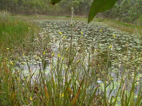 Back To The Bush - Accommodation Resorts 3