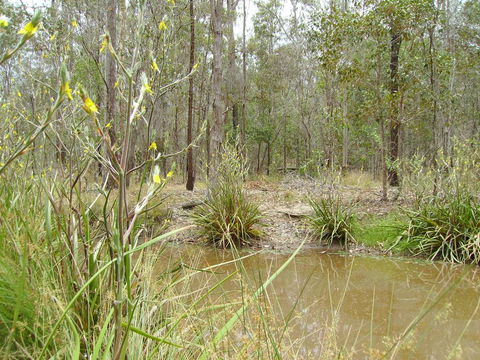 Back To The Bush - Accommodation Resorts 2