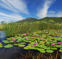 Barrington Hideaway- River Cottages - Accommodation Resorts