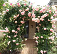 Baudins of Busselton Bed and Breakfast - Accommodation Resorts