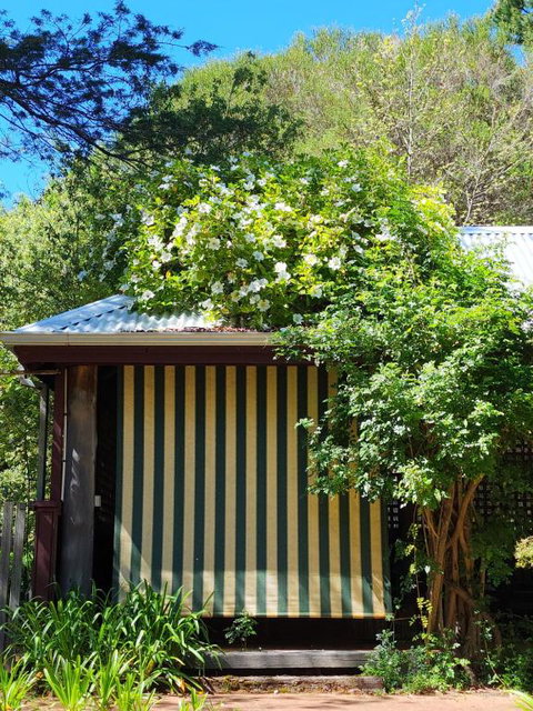Redgum Hill Country Retreat - Accommodation Resorts 3