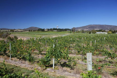Riversdale Estate Cottages - Accommodation Resorts 1