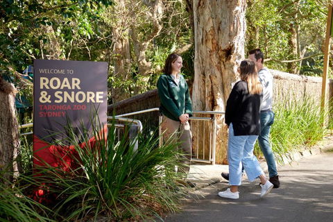 Roar And Snore - Accommodation Resorts 1