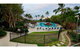 Royal Palm 19 - thumb 2
