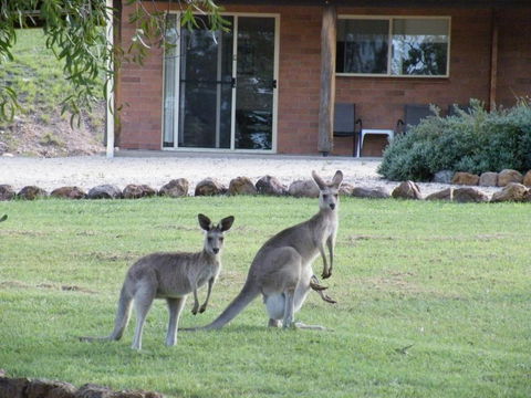 Rubyvale Motel & Holiday Units - An Adults Only Getaway - Accommodation Resorts 3