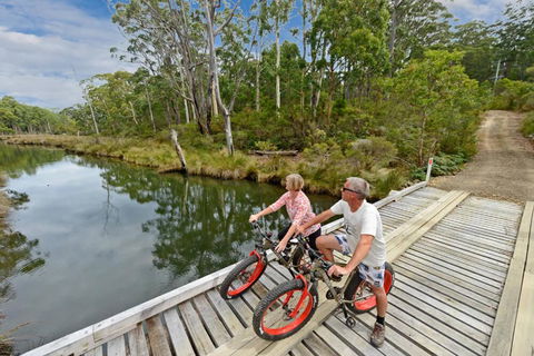 Saintys Creek Cottage - Accommodation Resorts 2