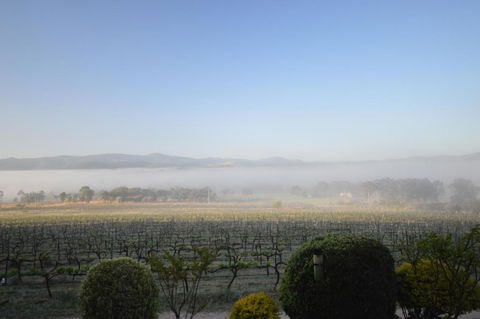Sancerre Estate - Accommodation Resorts 3