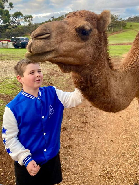 Sandalwood Downs Fabulous Farm Stay TOODYAY - Accommodation Resorts 1