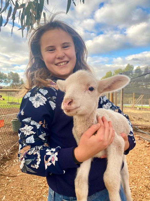 Sandalwood Downs Fabulous Farm Stay TOODYAY - Accommodation Resorts 2