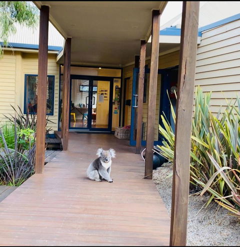 Sandpiper Motel Apollo Bay - Accommodation Resorts 3