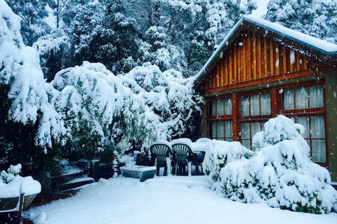 BEAUTIFUL RETREAT - 20 Mins To CBD And Only 10 Mins To MONA! - Accommodation Resorts 0