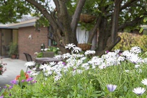 Bed And Breakfast In Perth - Accommodation Resorts 1