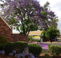 Belvoir Village Motel  Apartments Wodonga - Accommodation Resorts