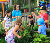 Book Lemon Tree Passage Accommodation Vacations Accommodation Resorts Accommodation Resorts