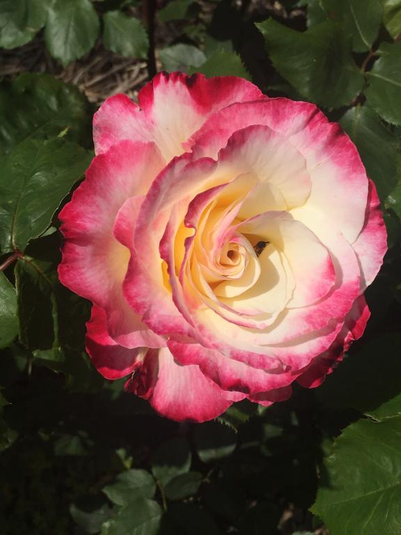 Terip Terip VIC Accommodation Resorts