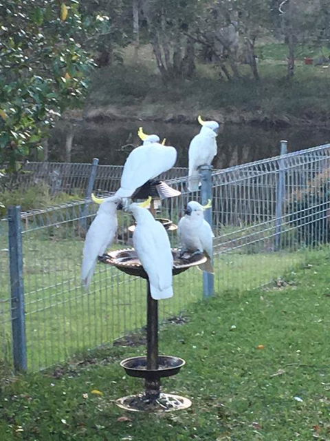 Blue Pearl - Accommodation Resorts 2