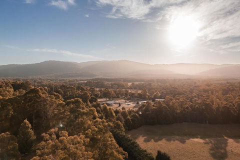 The Mill Houses Narbethong - Accommodation Resorts 1