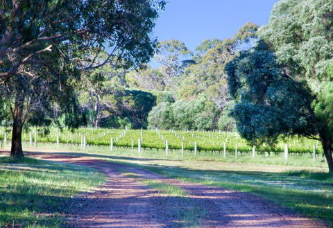Tintagel Estate I Private Properties - Accommodation Resorts 1