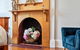 Warwick St Retreat! 3 Bedroom House With Parking - thumb 2