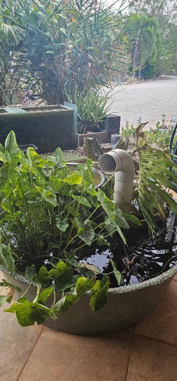 Almost Off Grid Tranquillity - Accommodation Resorts 4