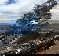 kunanyi / Mt Wellington Explorer Bus - 2 Hour Return Tour - Accommodation Resorts