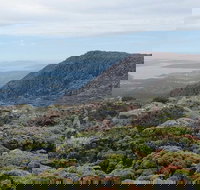 kunanyi/Mt Wellington Explorer Bus - One Way Tour - Accommodation Resorts