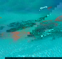 Private Tangalooma Wrecks Tour - Accommodation Resorts