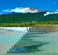 5-Day Best of Cairns with Daintree Kuranda and Great Barrier Reef - Accommodation Resorts