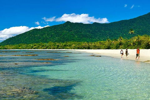 5-Day Best Of Cairns With Daintree, Kuranda, And Great Barrier Reef - Accommodation Resorts 0