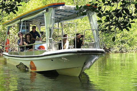 5-Day Best Of Cairns With Daintree, Kuranda, And Great Barrier Reef - Accommodation Resorts 1