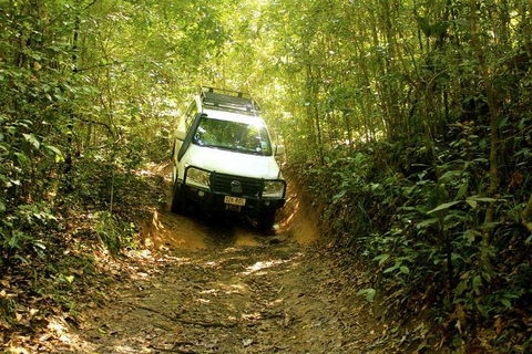 Barron Gorge And Kuranda National Park Half Day Rainforest And Waterfall 4WD Tour From Cairns - Accommodation Resorts 2
