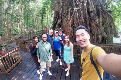 Barron Gorge And Kuranda National Park Half Day Rainforest And Waterfall 4WD Tour From Cairns - Accommodation Resorts 5