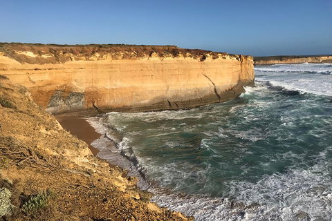12 Apostles Tour From Warrnambool - Accommodation Resorts 1