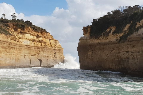 12 Apostles Tour From Warrnambool - Accommodation Resorts 2